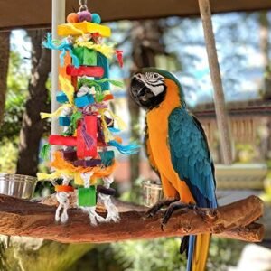 best parrot toys