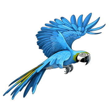 Healthy Live Parrot For sale